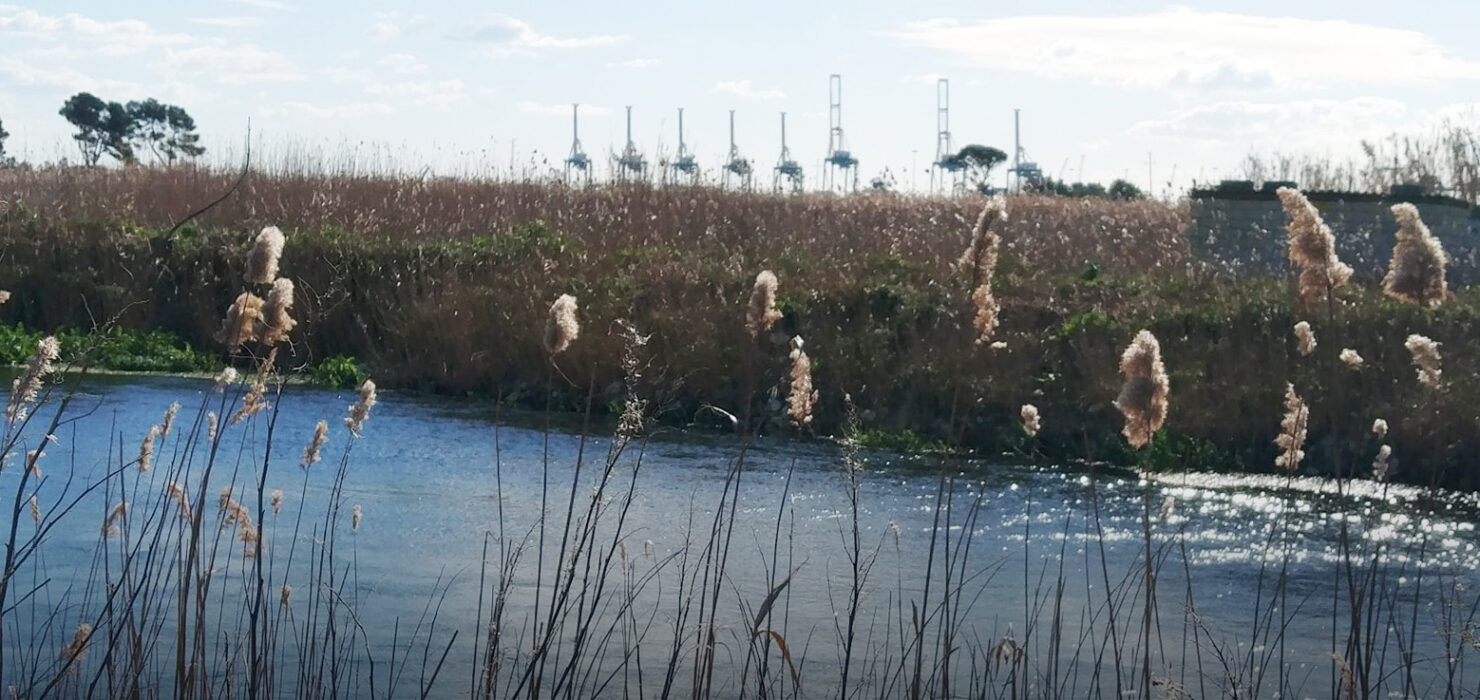 Fiume Tara Taranto