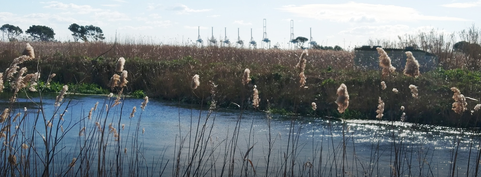 Fiume Tara Taranto